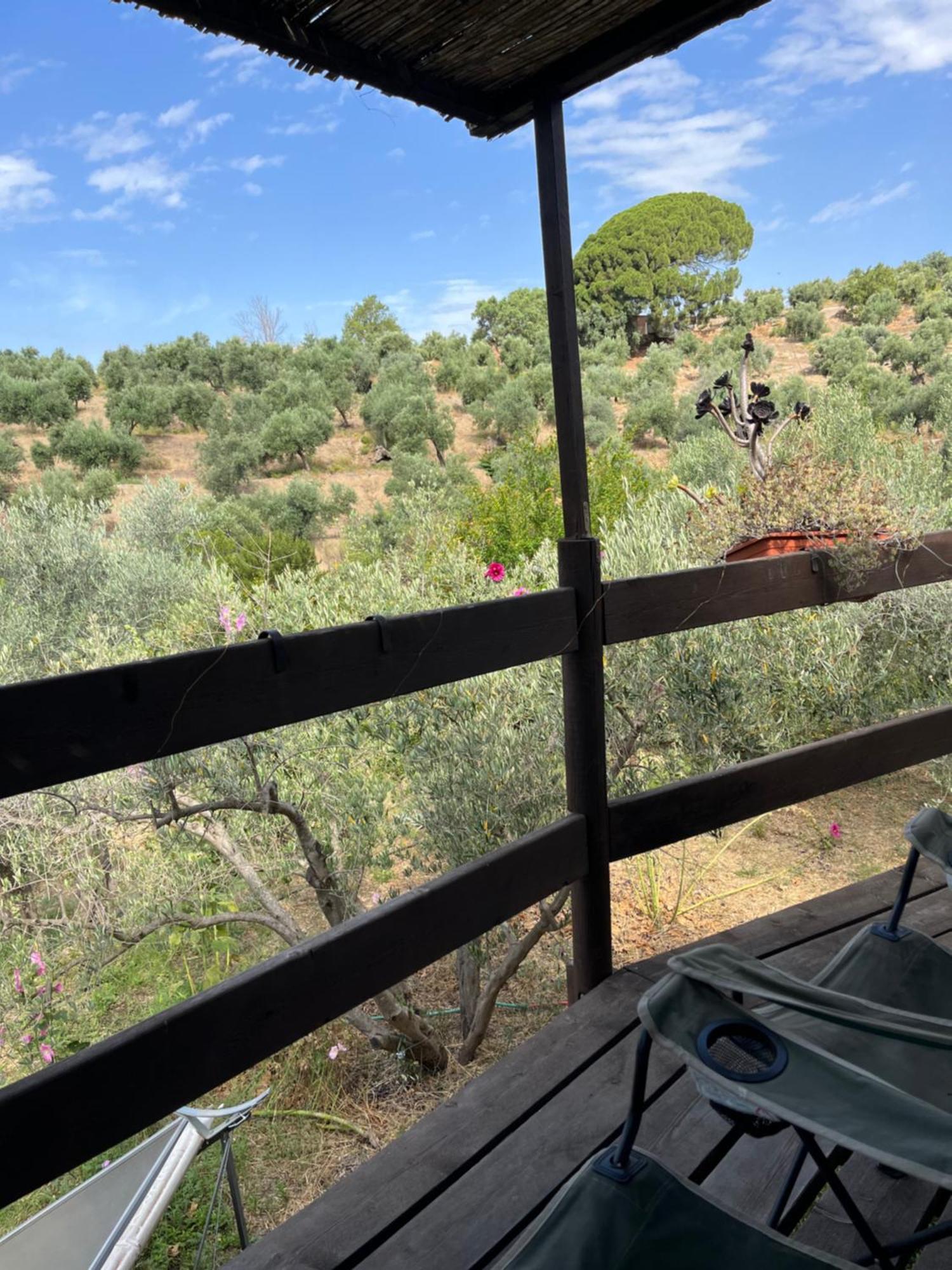 Cortijo Alhijra Big Yourte Ланхарон Экстерьер фото