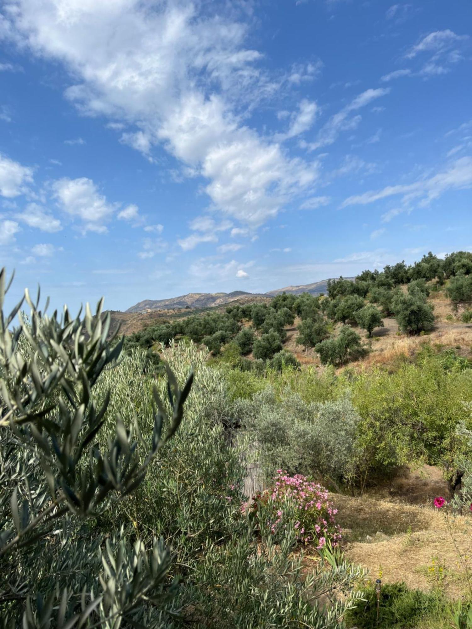 Cortijo Alhijra Big Yourte Ланхарон Экстерьер фото