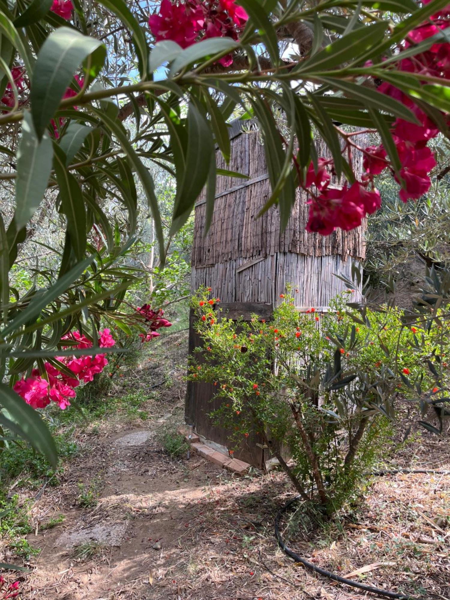 Cortijo Alhijra Big Yourte Ланхарон Экстерьер фото